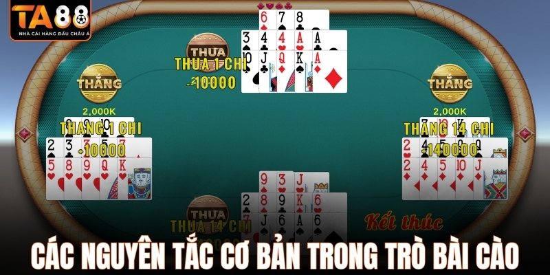 Các nguyên tắc cơ bản trong trò bài cào