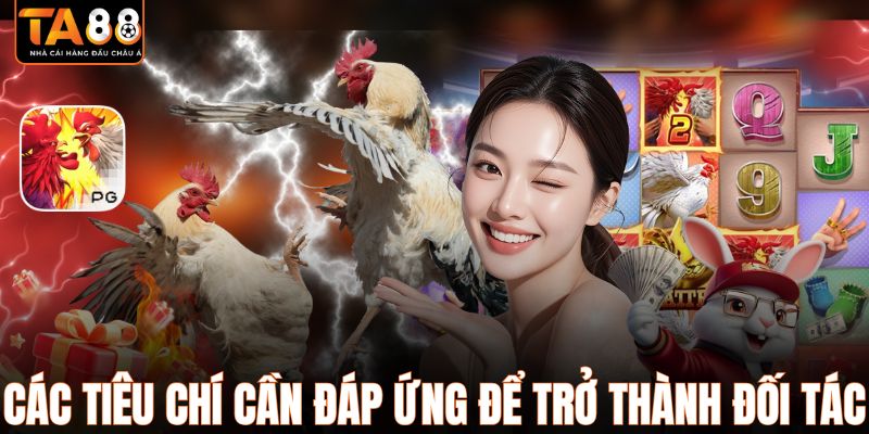 Các tiêu chí cần đáp ứng để trở thành đối tác TA88