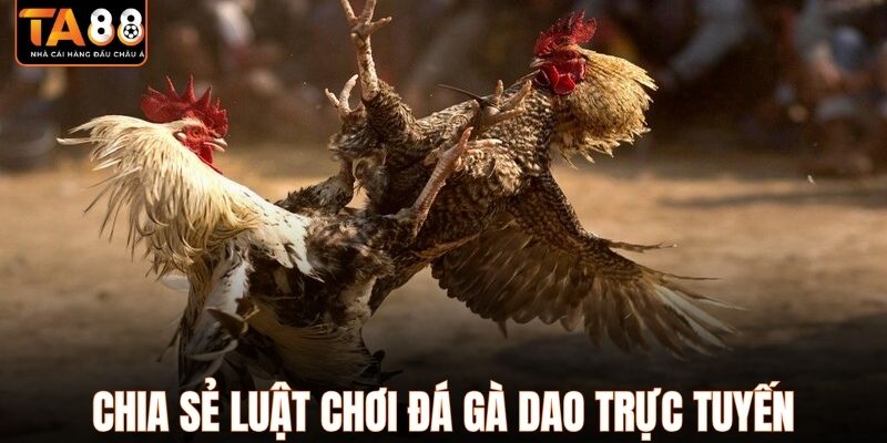 Chia sẻ luật chơi đá gà dao trực tuyến
