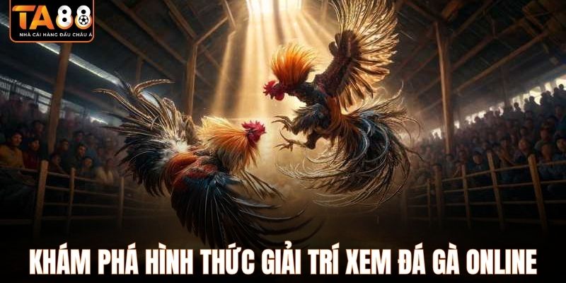 Khám phá hình thức giải trí xem đá gà online