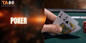 Poker - Board Game Trí Tuệ Được Săn Đón Năm 2026