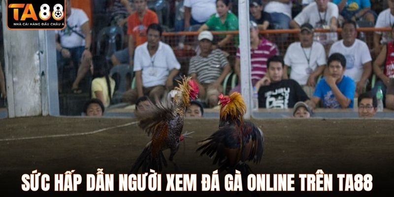 Sức hấp dẫn người xem đá gà online trên TA88