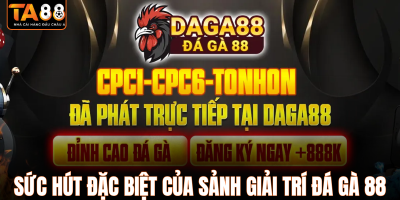 Sức hút đặc biệt của sảnh giải trí đá gà 88