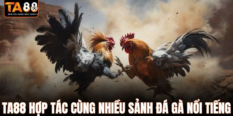 TA88 hợp tác cùng nhiều sảnh đá gà nổi tiếng